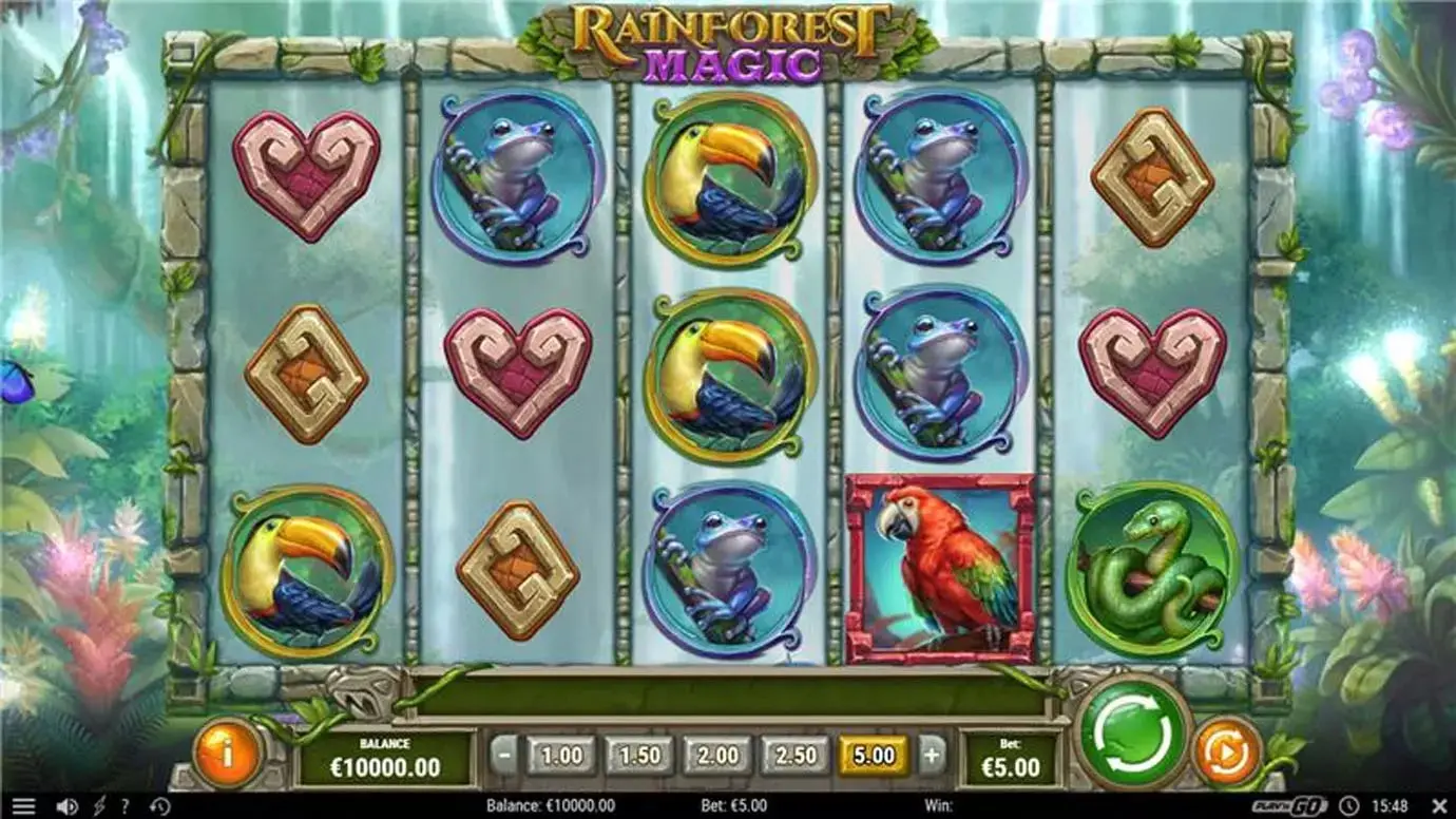 Rainforest Magic